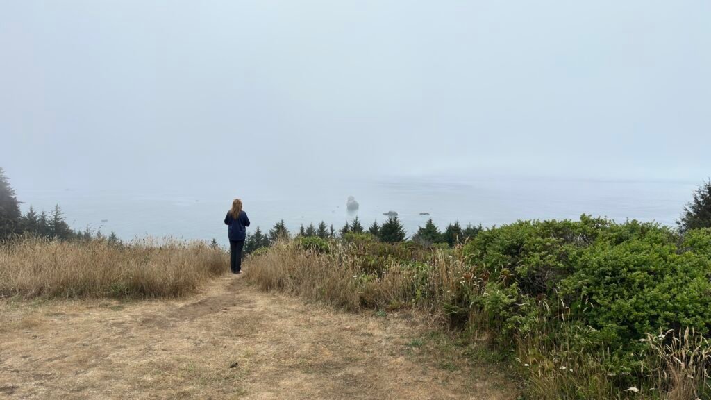A grass and sand path leading down toward a fog-covered ocean, with a single figure walking ahead toward the mist.