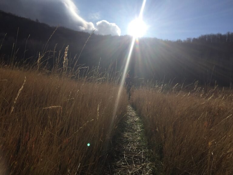 A mountain trail, leading to a sunrise
