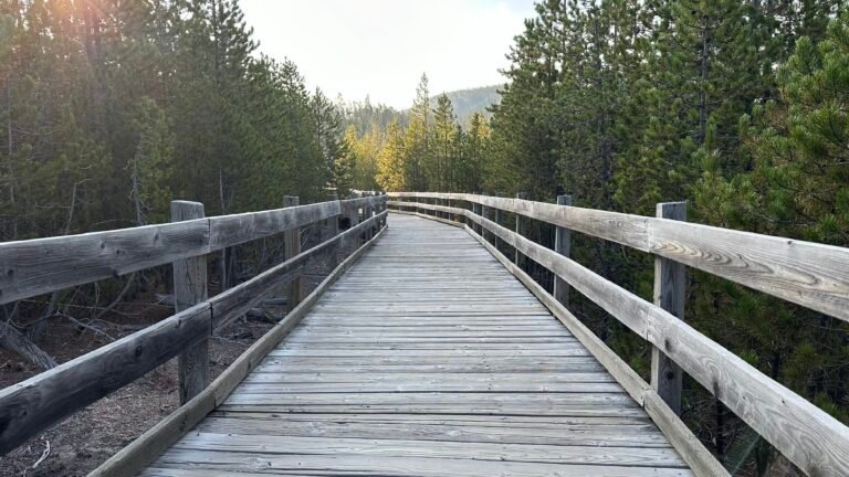 Bridge curves into the light