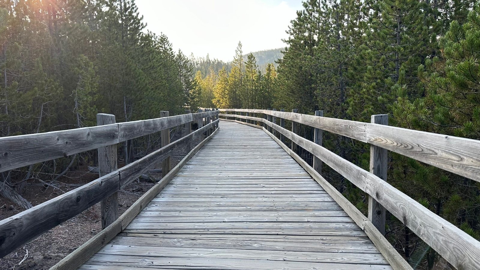 Bridge curves into the light