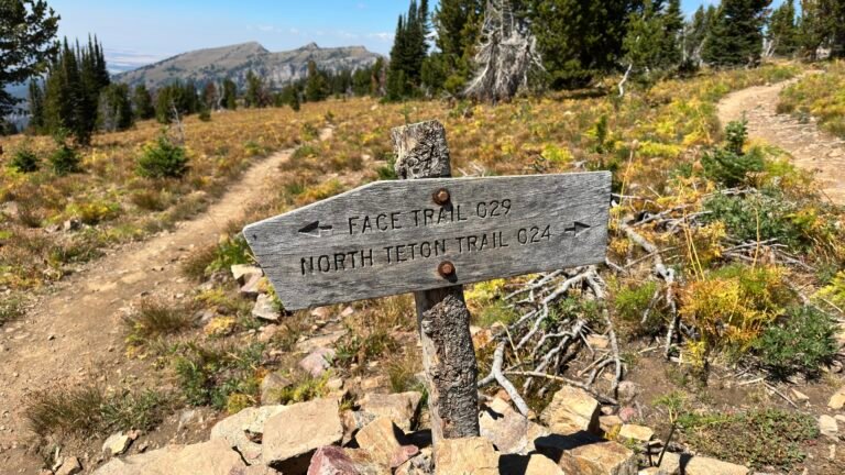 A weathered wooden trail signpost at a junction in the Tetons, pointing in two directions across an open meadow with mountains beyond.