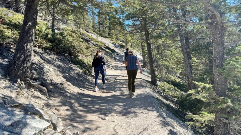 Navigating relationships during divorce