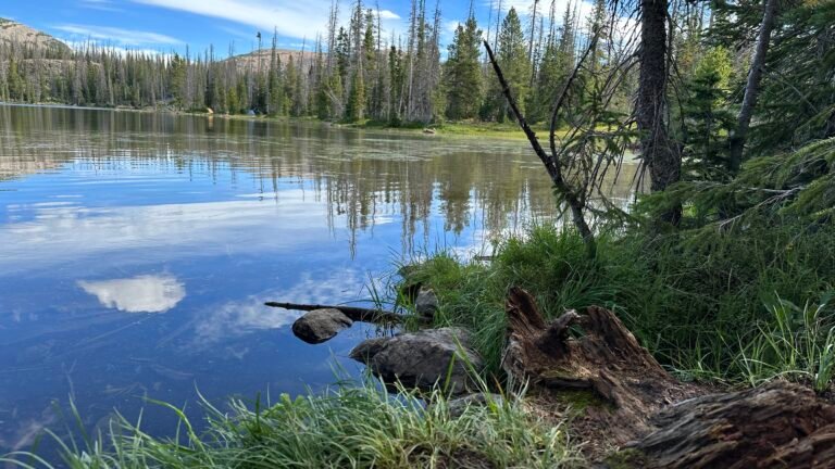 Alpine lake in the morning