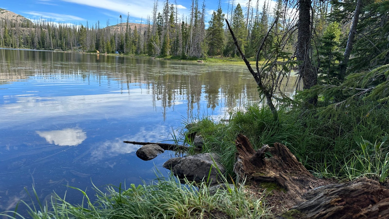 Alpine lake in the morning