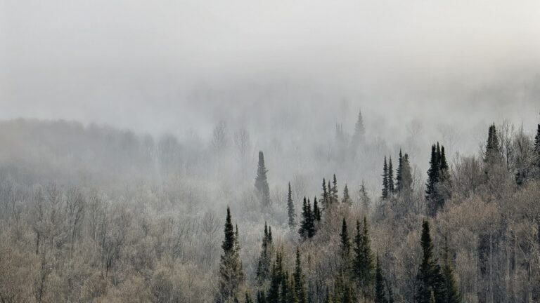 Mountains in the fog