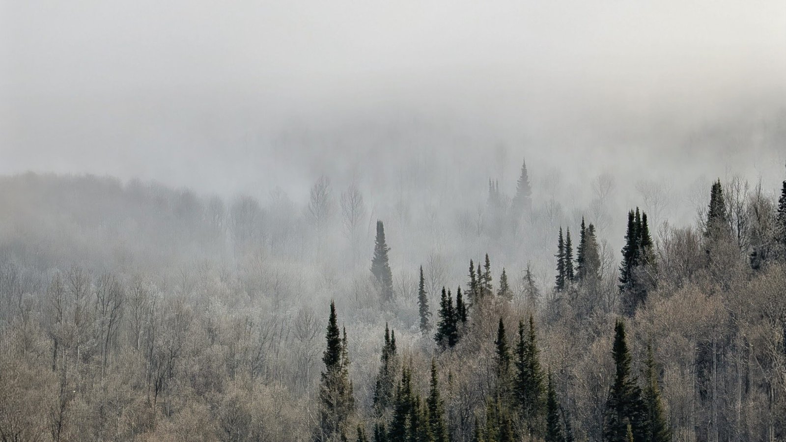 Mountains in the fog