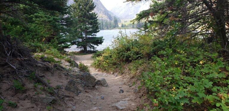 A mountain trail descending through pines toward a lake, with hazy peaks beyond.