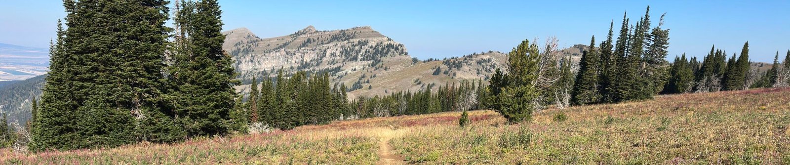A trail through a mountain meadow